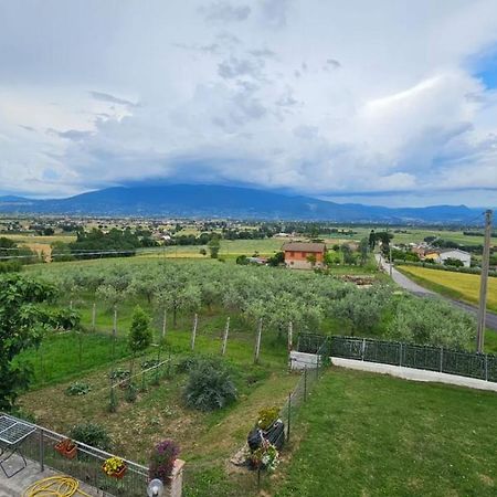 Delizioso Appartamento Collinare Limigiano Exterior photo