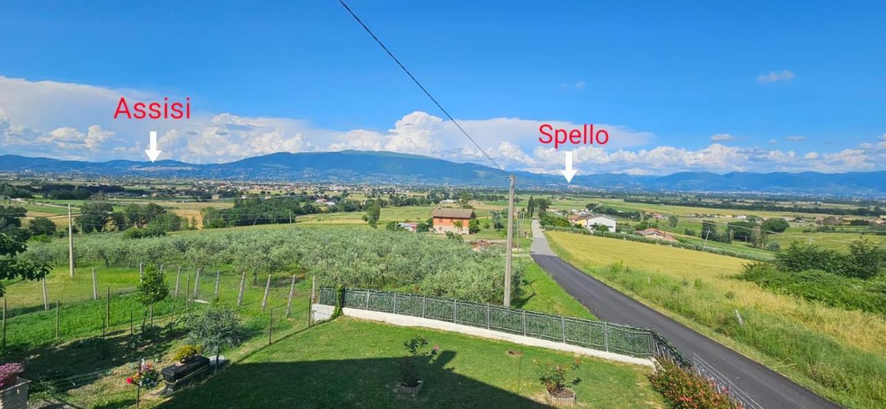 Delizioso Appartamento Collinare Limigiano Exterior photo