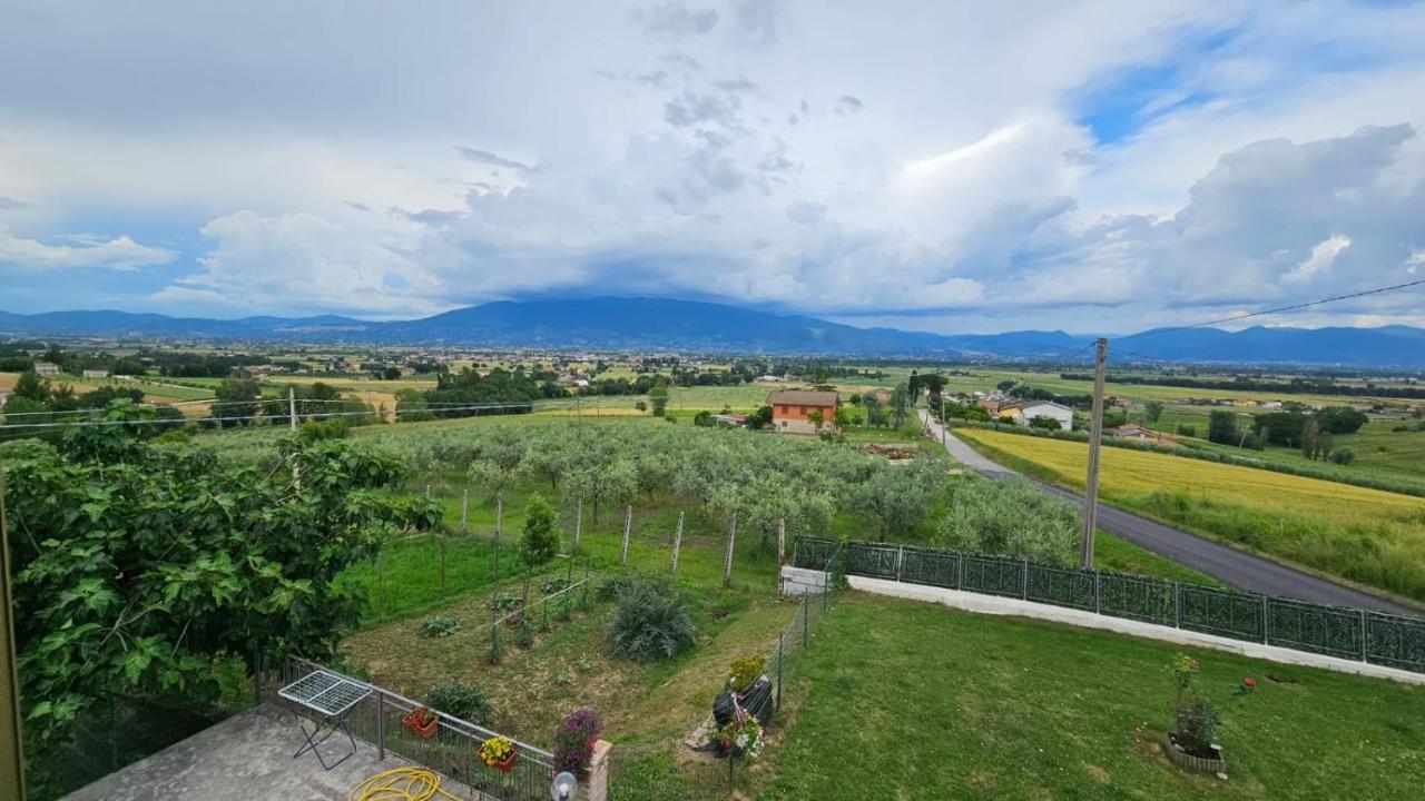 Delizioso Appartamento Collinare Limigiano Exterior photo